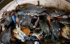 The Crabs in a Bucket Phenomenon